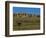 Landscape in Badlands National Park-Layne Kennedy-Framed Photographic Print