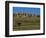 Landscape in Badlands National Park-Layne Kennedy-Framed Photographic Print