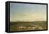 Landscape in Carneiros, Paisaje Con Carneiros-Jose Velasco-Framed Stretched Canvas