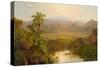 Landscape in Ecuador, 1859-Louis Remy Mignot-Stretched Canvas