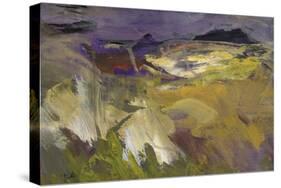 Landscape in Evening Light-Tuema Pattie-Stretched Canvas