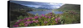 Landscape in Killarney National Park, County Kerry, Munster, Ireland-null-Stretched Canvas