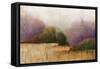 Landscape in Mist-Adam Rogers-Framed Stretched Canvas