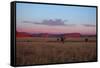 Landscape in Namibia-schoolgirl-Framed Stretched Canvas