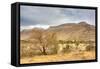 Landscape in Namibia-schoolgirl-Framed Stretched Canvas