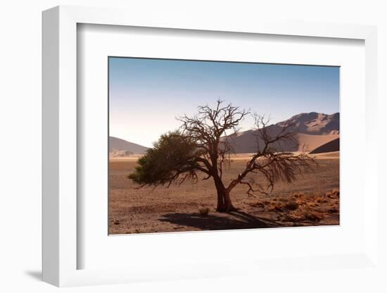 Landscape in Namibia-schoolgirl-Framed Photographic Print