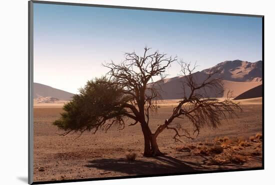 Landscape in Namibia-schoolgirl-Mounted Photographic Print