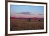 Landscape in Namibia-schoolgirl-Framed Photographic Print