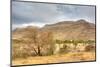 Landscape in Namibia-schoolgirl-Mounted Photographic Print