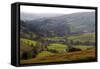 Landscape in Powys, Wales, United Kingdom, Europe-Rob Cousins-Framed Stretched Canvas