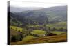 Landscape in Powys, Wales, United Kingdom, Europe-Rob Cousins-Stretched Canvas