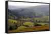 Landscape in Powys, Wales, United Kingdom, Europe-Rob Cousins-Framed Stretched Canvas