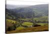 Landscape in Powys, Wales, United Kingdom, Europe-Rob Cousins-Stretched Canvas