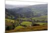 Landscape in Powys, Wales, United Kingdom, Europe-Rob Cousins-Mounted Photographic Print