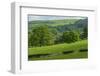 Landscape in Powys, Wales, United Kingdom, Europe-Rob Cousins-Framed Photographic Print