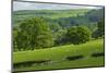 Landscape in Powys, Wales, United Kingdom, Europe-Rob Cousins-Mounted Photographic Print