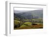 Landscape in Powys, Wales, United Kingdom, Europe-Rob Cousins-Framed Photographic Print