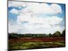 Landscape in S. Tennessee-Helen J. Vaughn-Mounted Giclee Print