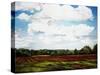 Landscape in S. Tennessee-Helen J. Vaughn-Stretched Canvas