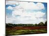 Landscape in S. Tennessee-Helen J. Vaughn-Mounted Giclee Print