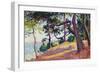 Landscape in Saint-Tropez, 1892-Maximilien Luce-Framed Giclee Print