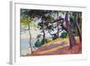 Landscape in Saint-Tropez, 1892-Maximilien Luce-Framed Giclee Print