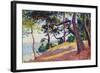 Landscape in Saint-Tropez, 1892-Maximilien Luce-Framed Giclee Print