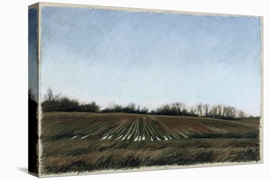 Landscape in South Tennessee, c.1998-Helen J. Vaughn-Stretched Canvas