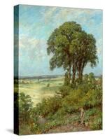 Landscape in Sussex-James Charles-Stretched Canvas