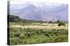 Landscape in the Andes, Argentina-Peter Groenendijk-Stretched Canvas