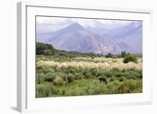 Landscape in the Andes, Argentina-Peter Groenendijk-Framed Photographic Print