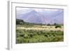 Landscape in the Andes, Argentina-Peter Groenendijk-Framed Photographic Print