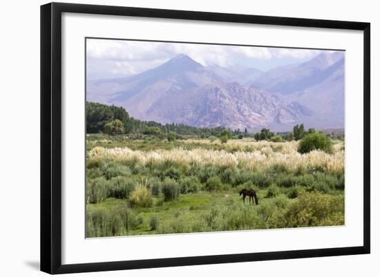 Landscape in the Andes, Argentina-Peter Groenendijk-Framed Photographic Print