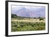 Landscape in the Andes, Argentina-Peter Groenendijk-Framed Photographic Print