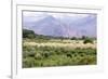 Landscape in the Andes, Argentina-Peter Groenendijk-Framed Photographic Print