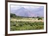 Landscape in the Andes, Argentina-Peter Groenendijk-Framed Photographic Print