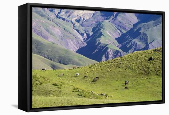 Landscape in the Andes, Argentina-Peter Groenendijk-Framed Stretched Canvas