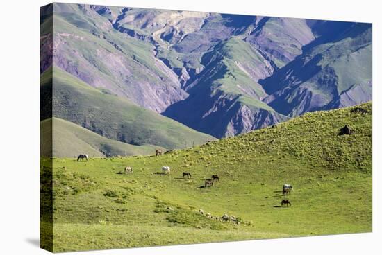 Landscape in the Andes, Argentina-Peter Groenendijk-Stretched Canvas