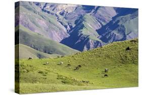 Landscape in the Andes, Argentina-Peter Groenendijk-Stretched Canvas
