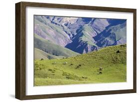 Landscape in the Andes, Argentina-Peter Groenendijk-Framed Photographic Print