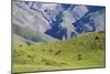Landscape in the Andes, Argentina-Peter Groenendijk-Mounted Photographic Print