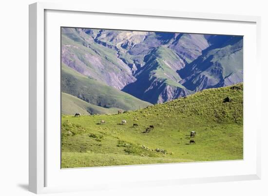 Landscape in the Andes, Argentina-Peter Groenendijk-Framed Photographic Print