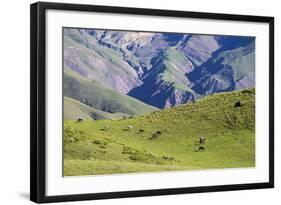 Landscape in the Andes, Argentina-Peter Groenendijk-Framed Photographic Print