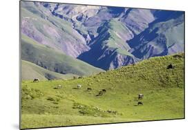 Landscape in the Andes, Argentina-Peter Groenendijk-Mounted Photographic Print