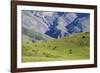 Landscape in the Andes, Argentina-Peter Groenendijk-Framed Photographic Print