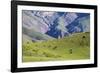 Landscape in the Andes, Argentina-Peter Groenendijk-Framed Photographic Print