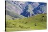 Landscape in the Andes, Argentina-Peter Groenendijk-Stretched Canvas