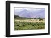 Landscape in the Andes, Argentina-Peter Groenendijk-Framed Photographic Print