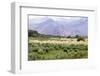 Landscape in the Andes, Argentina-Peter Groenendijk-Framed Photographic Print