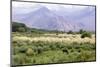 Landscape in the Andes, Argentina-Peter Groenendijk-Mounted Photographic Print